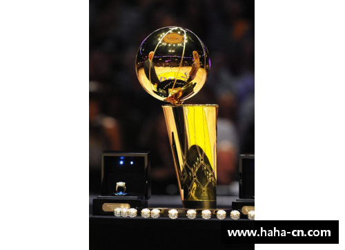 NBA季后赛门票抢购指南与购买技巧大全